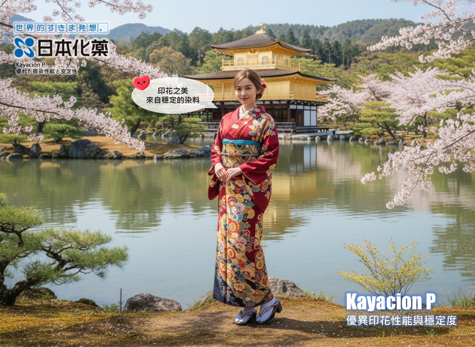 CDP �L�� �M�� �V��